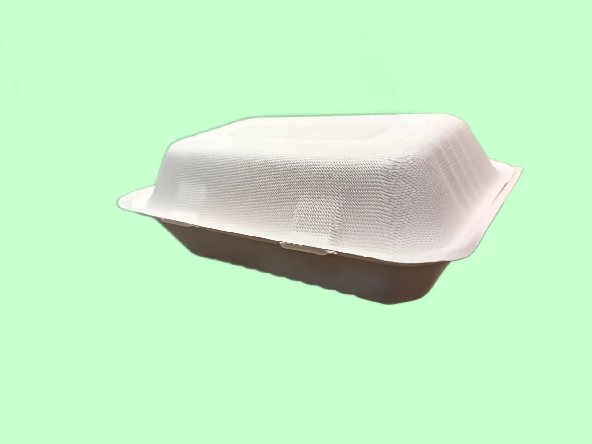[A02MEB005] 1000 ml Bagasse Take Away, 2 portions